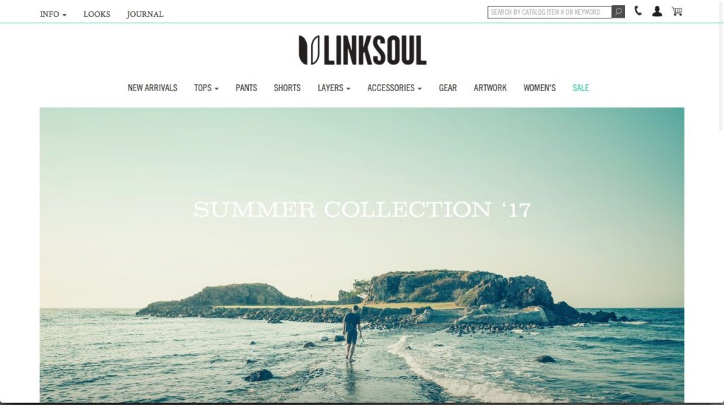 Website-Screenshot-Linksoul
